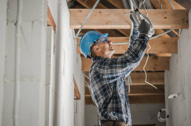 Best Electrical Upgrades for Homes  in Warrenton, GA